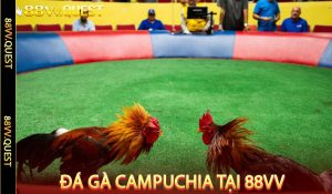 Đá gà Campuchia