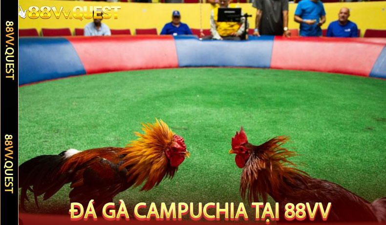 Đá gà Campuchia